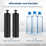 Black Berkey BB9-2 Replacement Water Filter Elements (Set of 2)