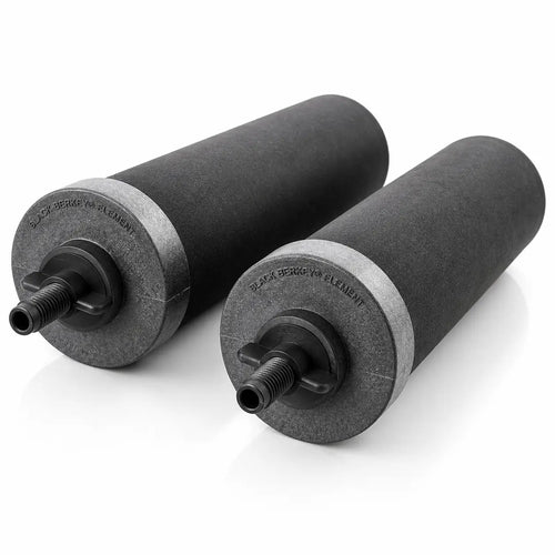 Black Berkey BB9-2 Replacement Water Filter Elements (Set of 2)