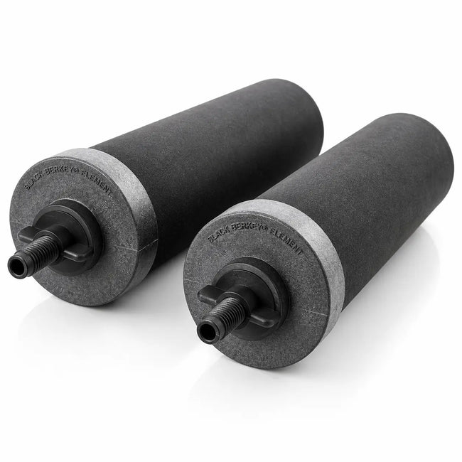 Black Berkey BB9-2 Replacement Water Filter Elements (Set of 2)