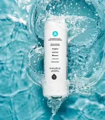EDRARXD1 Filter A refrigerator Water filter